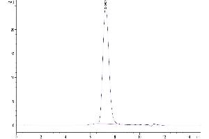 The purity of Human B7-2 is greater than 95 % as determined by SEC-HPLC. (CD86 Protein (CD86) (His-Avi Tag))