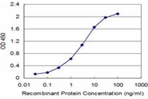Detection limit for recombinant GST tagged CBS is approximately 0. (CBS antibody  (AA 1-100))