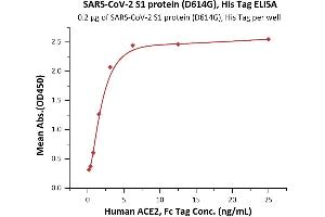 Immobilized SARS-CoV-2 S1 protein (D614G), His Tag (Cat.