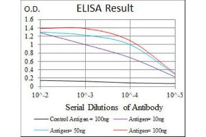 ELISA image for anti-Pancreatic and Duodenal Homeobox 1 (PDX1) antibody (ABIN1845723) (PDX1 antibody)