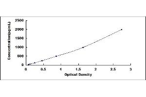 Typical standard curve (FTH1 ELISA Kit)