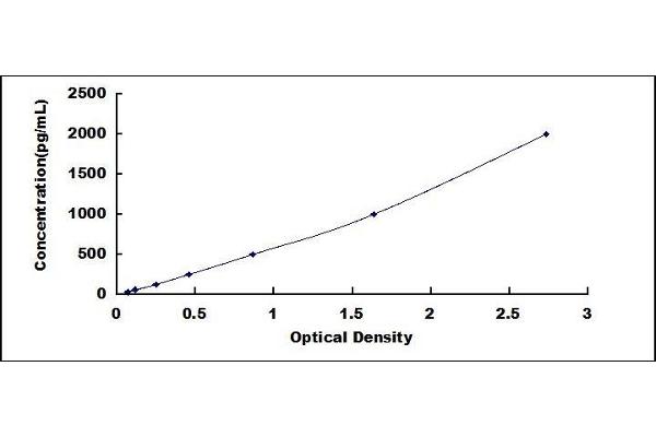 FTH1 ELISA Kit