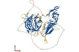 AlphaFold protein structure predicition of Human Recombinant HIRA Protein, UniprotID P54198 (HIRA Protein (AA 1-1017) (His tag))