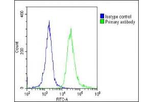 Overlay histogram showing HeLa cells stained with (ABIN6244022 and ABIN6578804)(green line). (TOMM40 antibody  (AA 22-56))