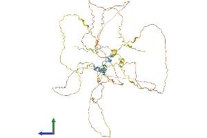 Protein Structure (PS) image for Breast Carcinoma Amplified Sequence 1 (BCAS1) (AA 1-584) protein (His tag) (ABIN7552575)
