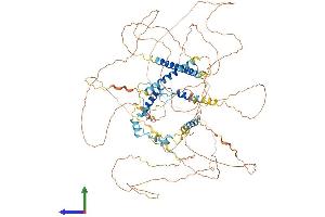 AlphaFold protein structure predicition of Human Recombinant FAM193B Protein, UniprotID Q96PV7 (FAM193B Protein (AA 1-902) (His tag))