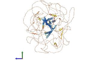 AlphaFold protein structure predicition of Human Recombinant RPRD2 Protein, UniprotID Q5VT52 (RPRD2 Protein (AA 1-1461) (His tag))