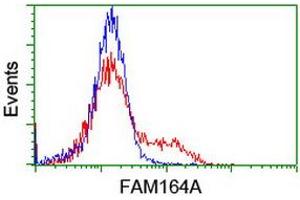 Image no. 5 for anti-Family with Sequence Similarity 164, Member A (FAM164A) antibody (ABIN1498198) (FAM164A antibody)
