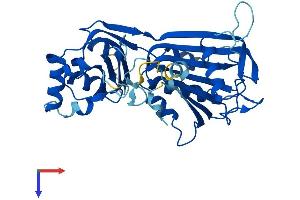 AlphaFold protein structure predicition of Mouse Recombinant Rpp40 Protein, UniprotID Q8R1F9 (RPP40 Protein (AA 1-363) (His tag))