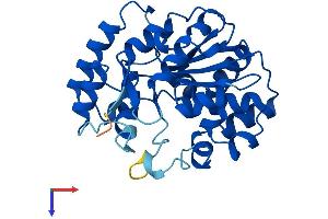 Protein Structure (PS) image for Sulfotransferase Family 2A, Dehydroepiandrosterone (DHEA)-Preferring, Member 2 (SULT2A2) (AA 1-285) protein (His tag) (ABIN7563355)