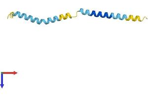 AlphaFold protein structure predicition of Mouse Recombinant Triqk Protein, UniprotID B2B9E1