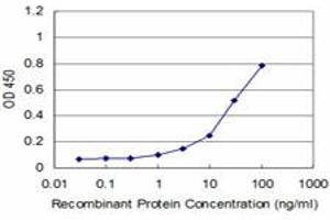 Detection limit for recombinant GST tagged SET is approximately 3ng/ml as a capture antibody. (SET/TAF-I antibody  (AA 1-277))