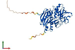 AlphaFold protein structure predicition of Mouse Recombinant Dxo Protein, UniprotID O70348