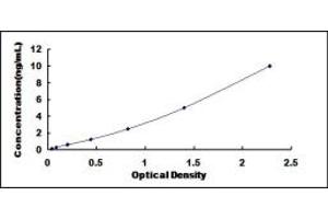 Typical standard curve (FOS ELISA Kit)