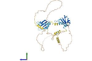 Protein Structure (PS) image for RNA Binding Motif Protein 23 (RBM23) (AA 1-439) protein (His tag) (ABIN7551256)