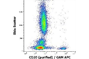 Flow cytometry surface staining pattern of human peripheral blood stained using anti-human CD20 (LT20) purified antibody (concentration in sample 10 μg/mL) GAM APC.