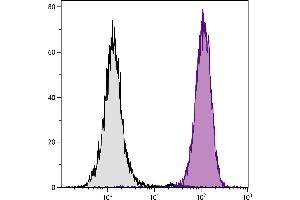 Human peripheral blood granulocytes were stained with Mouse Anti-Human CD11b-SPRD. (CD11b antibody  (SPRD))