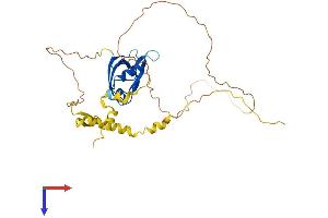 AlphaFold protein structure predicition of Human Recombinant MAGIX Protein, UniprotID Q9H6Y5 (MAGIX Protein (AA 1-334) (His tag))