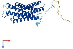 DNA-Damage Regulated Autophagy Modulator 2 (DRAM2) (AA 1-267) protein (His tag)