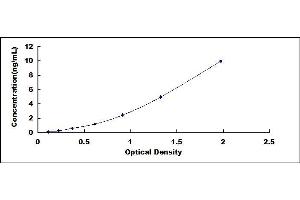 Typical standard curve (SULT1A1 ELISA Kit)