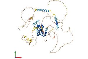 AlphaFold protein structure predicition of Mouse Recombinant Epn3 Protein, UniprotID Q91W69