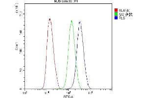 Flow Cytometry analysis of U251 cells using anti-Plasminogen antibody (ABIN6719276). (PLG antibody)
