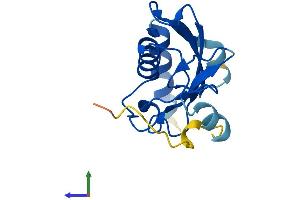 Protein Structure (PS) image for Ubiquitin-Conjugating Enzyme E2W (UBE2W) (AA 1-151) protein (His tag) (ABIN7555904)