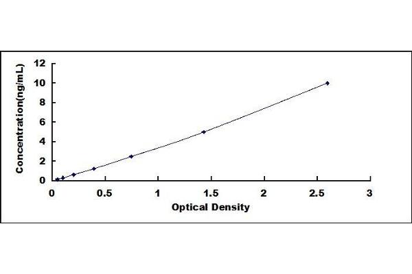 SKP1 ELISA Kit