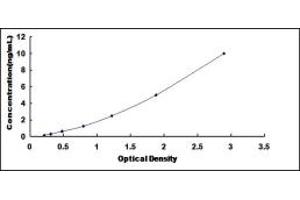 Typical standard curve (HSF1 ELISA Kit)