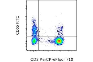 Flow Cytometry (FACS) image for anti-Neural Cell Adhesion Molecule 1 (NCAM1) antibody (FITC) (ABIN2144645) (CD56 antibody  (FITC))