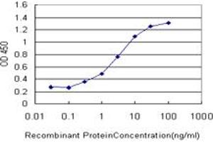 Detection limit for recombinant GST tagged FOXA1 is approximately 0. (FOXA1 antibody  (AA 367-472))