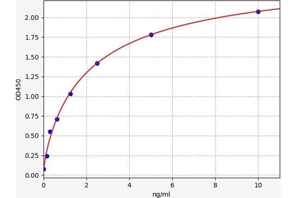 TNMD ELISA Kit