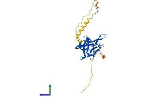 Protein Structure (PS) image for Fibroblast Growth Factor 14 (FGF14) (AA 1-247) protein (His tag) (ABIN7547570)