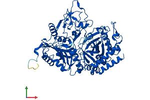 Protein Structure (PS) image for phosphoenolpyruvate Carboxykinase 1 (Soluble) (PCK1) (AA 1-622) protein (His tag) (ABIN7556447)