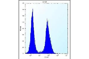 LGALS4 Antibody (N-term) (ABIN656325 and ABIN2845624) flow cytometric analysis of Jurkat cells (right histogram) compared to a negative control cell (left histogram). (GAL4 antibody  (N-Term))