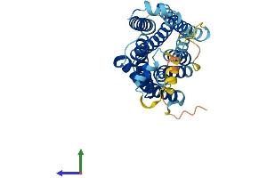 AlphaFold protein structure predicition of Mouse Recombinant Mrgpra1 Protein, UniprotID Q91WW5 (Mrgpra1 Protein (AA 1-304) (His tag))