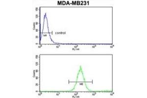 Flow Cytometry (FACS) image for anti-Superkiller Viralicidic Activity 2-Like 2 (SKIV2L2) antibody (ABIN3003891) (MTR4 antibody)