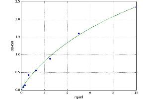 phosphoenolpyruvate Carboxykinase 2 (Mitochondrial) (PEPCK) ELISA Kit