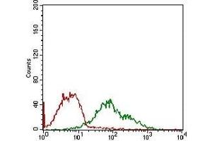 Flow cytometric analysis of MCF-7 cells using DDIT3 mouse mAb (green) and negative control (red). (DDIT3 antibody  (AA 87-192))