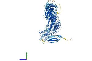 Protein Structure (PS) image for Trafficking Protein Particle Complex 11 (TRAPPC11) (AA 1-1133) protein (His tag) (ABIN7555803)