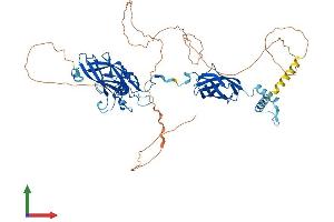 Protein Structure (PS) image for Early B-Cell Factor 4 (EBF4) (AA 1-599) protein (His tag) (ABIN7559573)