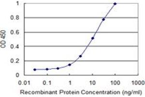 Detection limit for recombinant GST tagged RSAD2 is 0. (RSAD2 antibody  (AA 262-361))