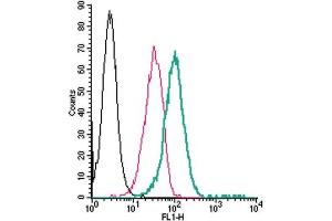 Cell surface detection of Nectin-1 by direct flow cytometry in live intact human  monocytic leukemia cells: + Rabbit IgG isotype control-FITC.