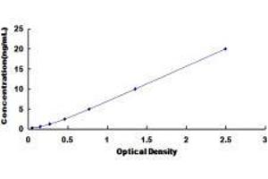 Tumor Protein, Translationally-Controlled 1 (TPT1) ELISA Kit
