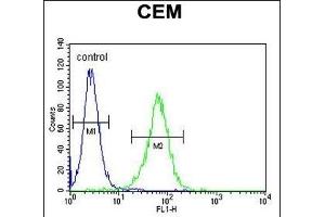 NXPH4 Antibody (C-term) (ABIN655131 and ABIN2844758) flow cytometric analysis of CEM cells (right histogram) compared to a negative control cell (left histogram). (Neurexophilin 4 antibody  (C-Term))