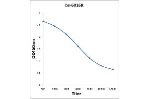 Antigen: 0. (RBBP5 antibody  (AA 131-230))