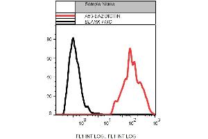 Flow cytometry analysis (intracellular staining) of MCF-7 human breast adenocarcinoma cell line with anti-cytokeratin 19 (A53-B/A2) biotin. (Cytokeratin 19 antibody  (Biotin))