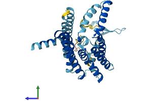 AlphaFold protein structure predicition of Mouse Recombinant Pex16 Protein, UniprotID Q91XC9 (PEX16 Protein (AA 1-336) (His tag))