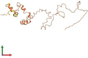 AlphaFold protein structure predicition of Human Recombinant KRTAP4-9 Protein, UniprotID Q9BYQ8 (KRTAP4-9 Protein (AA 1-210) (His tag))