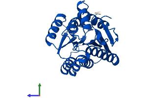 AlphaFold protein structure predicition of Mouse Recombinant Spr Protein, UniprotID Q64105 (SPR Protein (AA 1-261) (His tag))